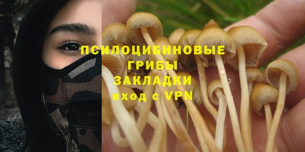 гидра Абдулино