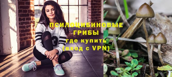 амф Алзамай