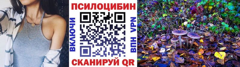 Галлюциногенные грибы прущие грибы Черемхово