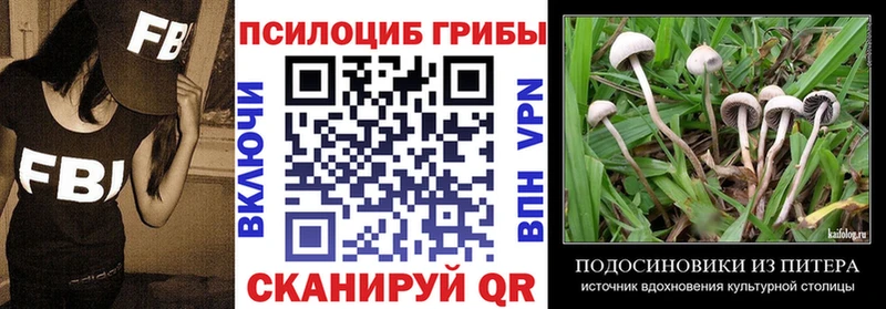 Псилоцибиновые грибы Cubensis  ссылка на мегу маркетплейс  Черемхово 